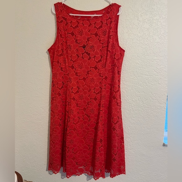 Lace Dress - Picture 1 of 2